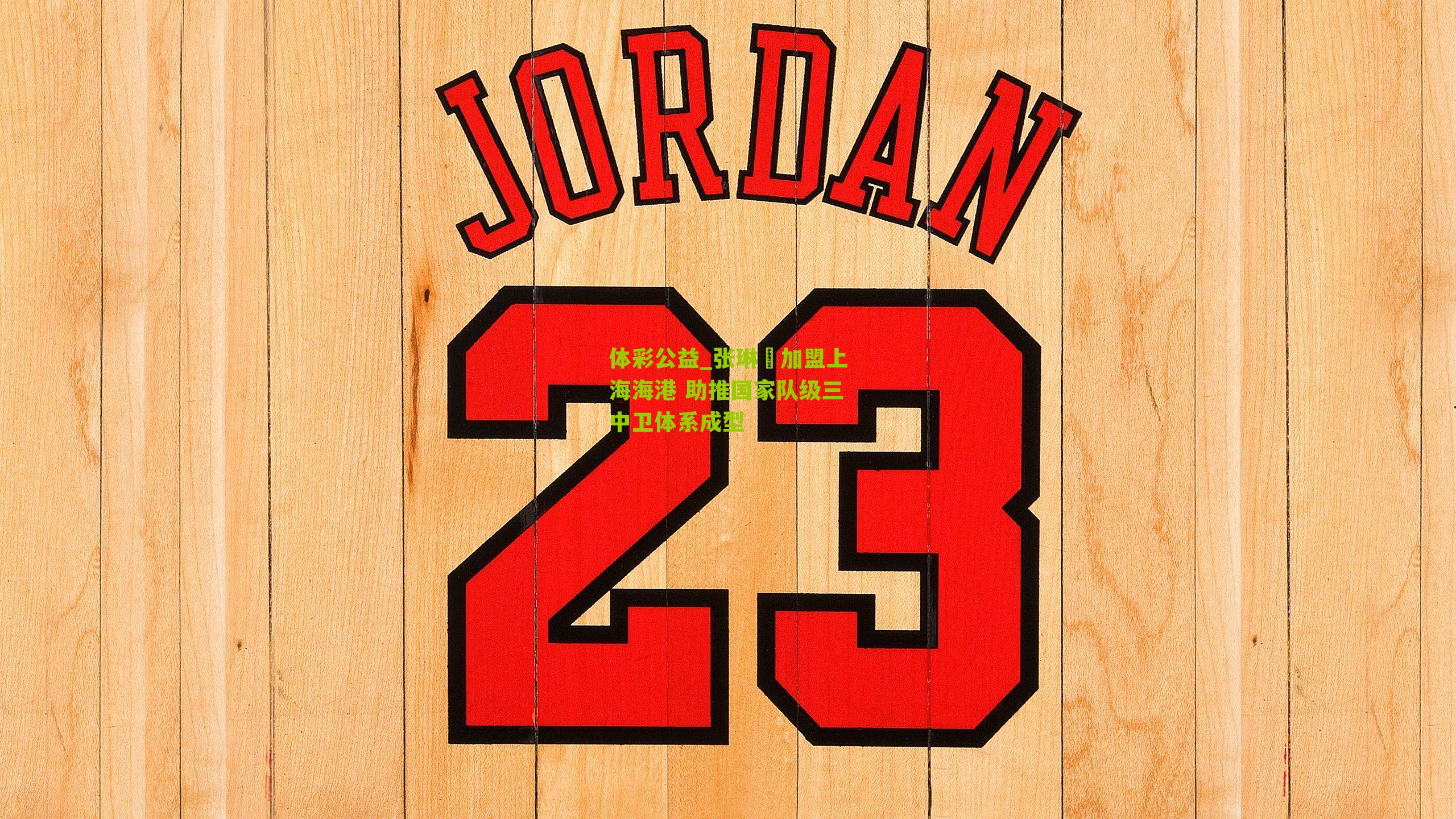 张琳芃加盟上海海港 助推国家队级三中卫体系成型