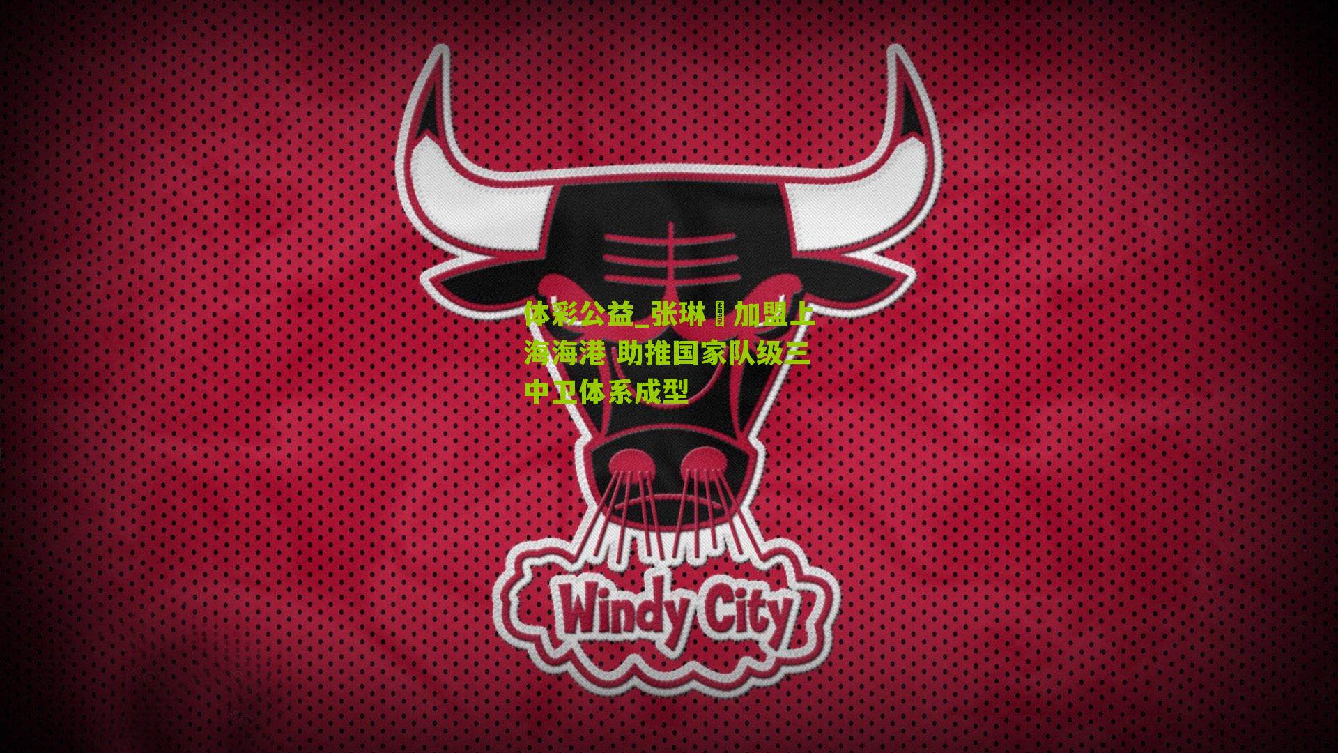 张琳芃加盟上海海港 助推国家队级三中卫体系成型